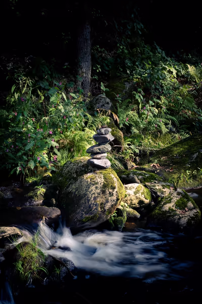 A stack of balanced stones resting on a moss-covered boulder in the middle of a flowing forest stream.