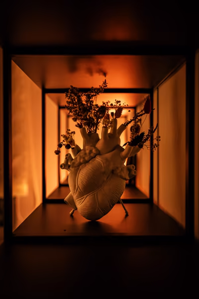 An anatomical heart-shaped ceramic vase containing dried flowers, centered within a series of receding square frames under a warm, orange-toned light.
